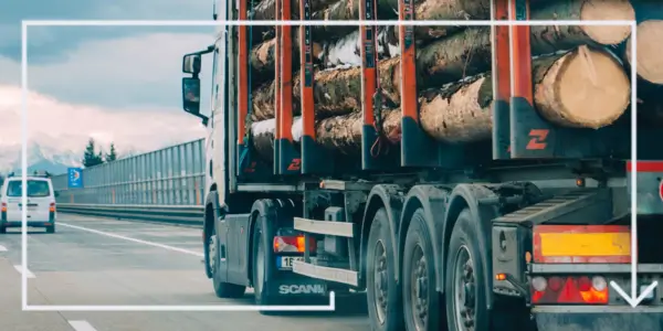 tachospeed expert karta kierowcy transport, czas pracy kierowcy, program do rozliczania kierowców