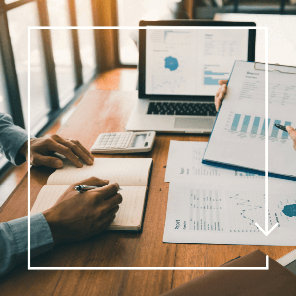 reports tachospeed export driving time, czas pracy kierowcy, program do rozliczania kierowców