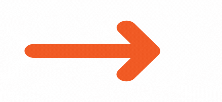 strzalka, czas pracy kierowcy, program do rozliczania kierowców